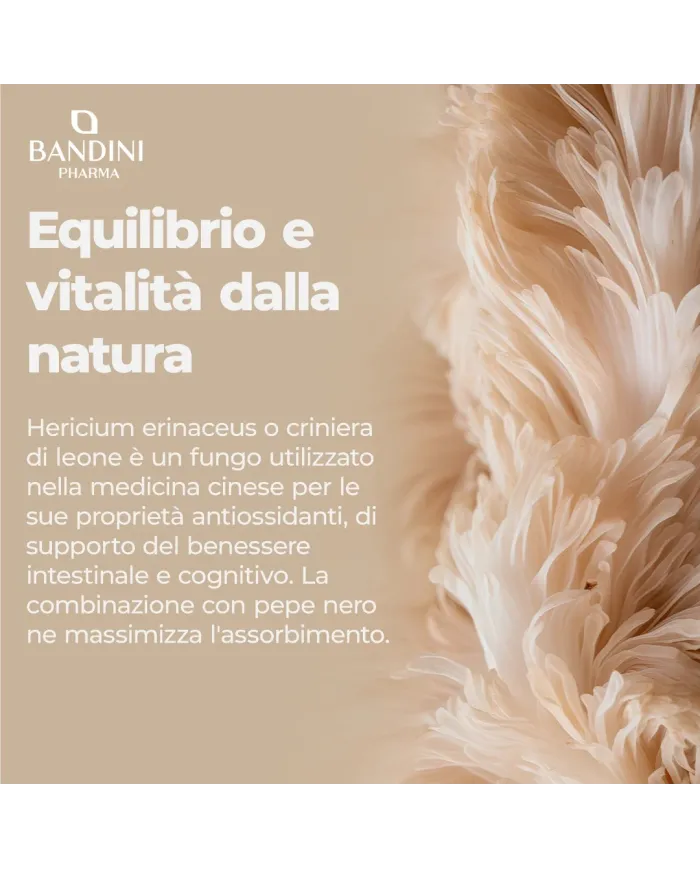 Lion's Mane - 365 compresse